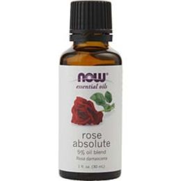 Essential Oils Now By Now Essential Oils Rose Absolute Oil Blend 1 Oz For Anyone